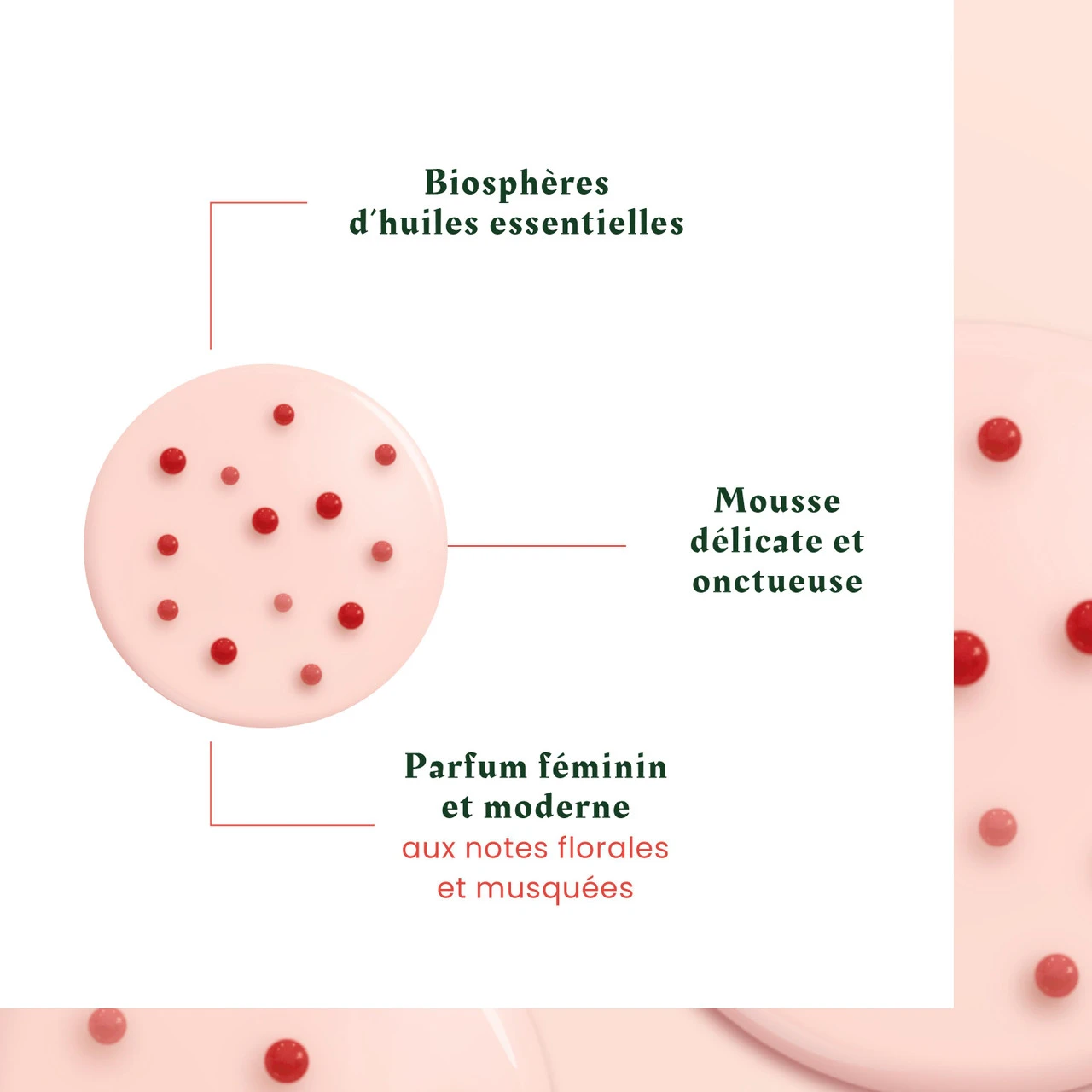 Shampooing Tonucia René Furterer 600ml – Image 3