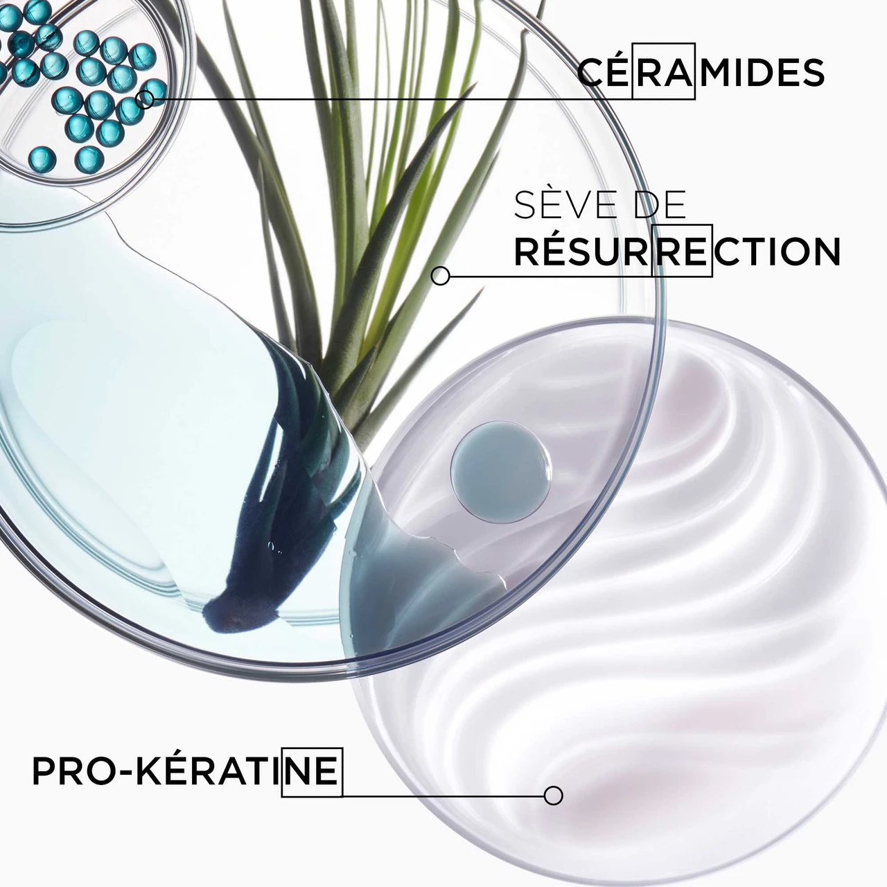 Bain Force Architecte Kérastase 250ml 2 Bain Force Architecte Kérastase 250ml – Image 2