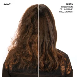 Masque Anti-Frisottis Frizz Dismiss Redken 250ml -Coiffure Promos Boutique 3474636961030 2 1 09650.1694783020