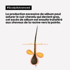 Shampooing Dermo-purifiant Anti Gras Scalp Advanced L'Oréal 1500ml -Coiffure Promos Boutique 3474637106416 4 47452.1684847766