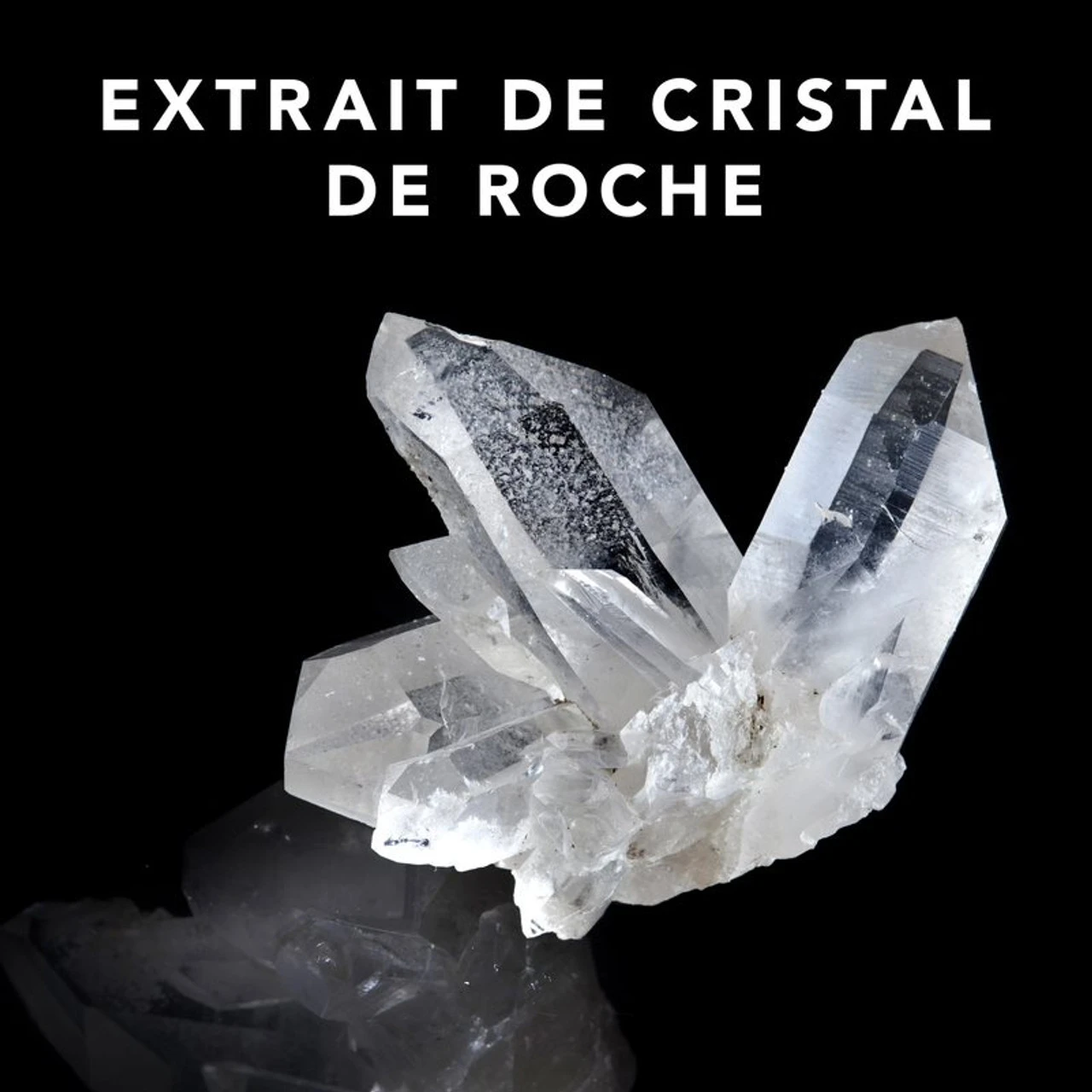 Soin Trilliance Sebastian 250 Ml 2 Soin Trilliance Sebastian 250 Ml – Image 2