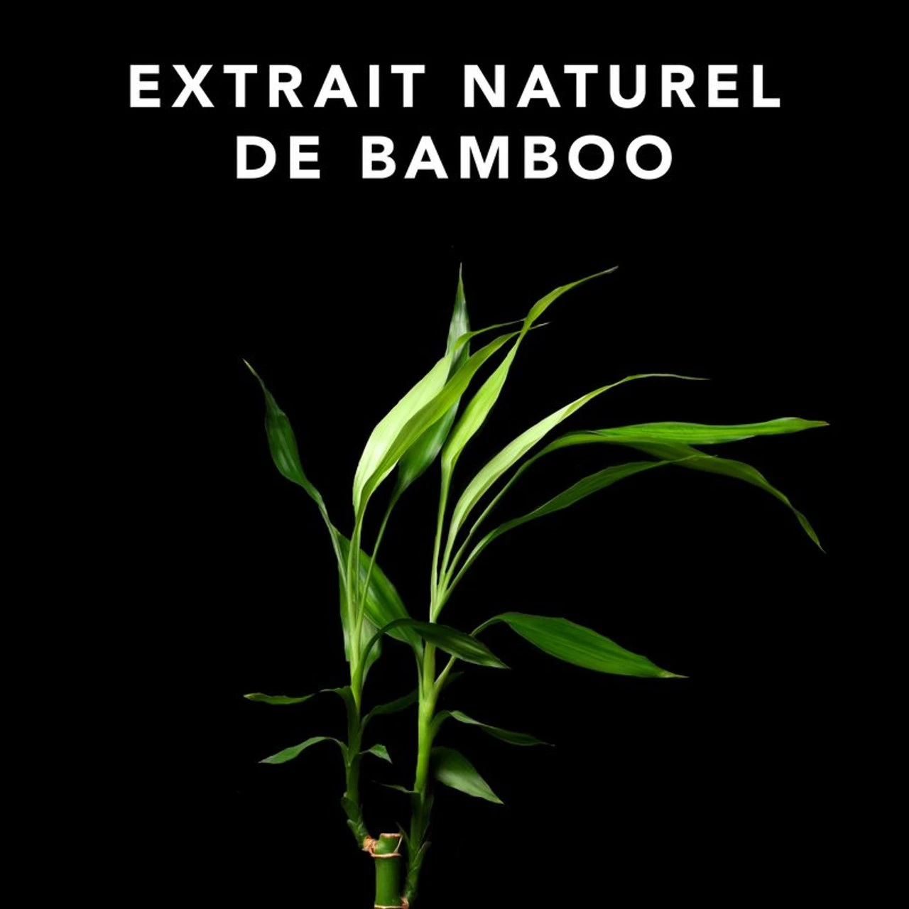 Volupt Shampoo Sebastian 250ml 2 Volupt Shampoo Sebastian 250ml – Image 2