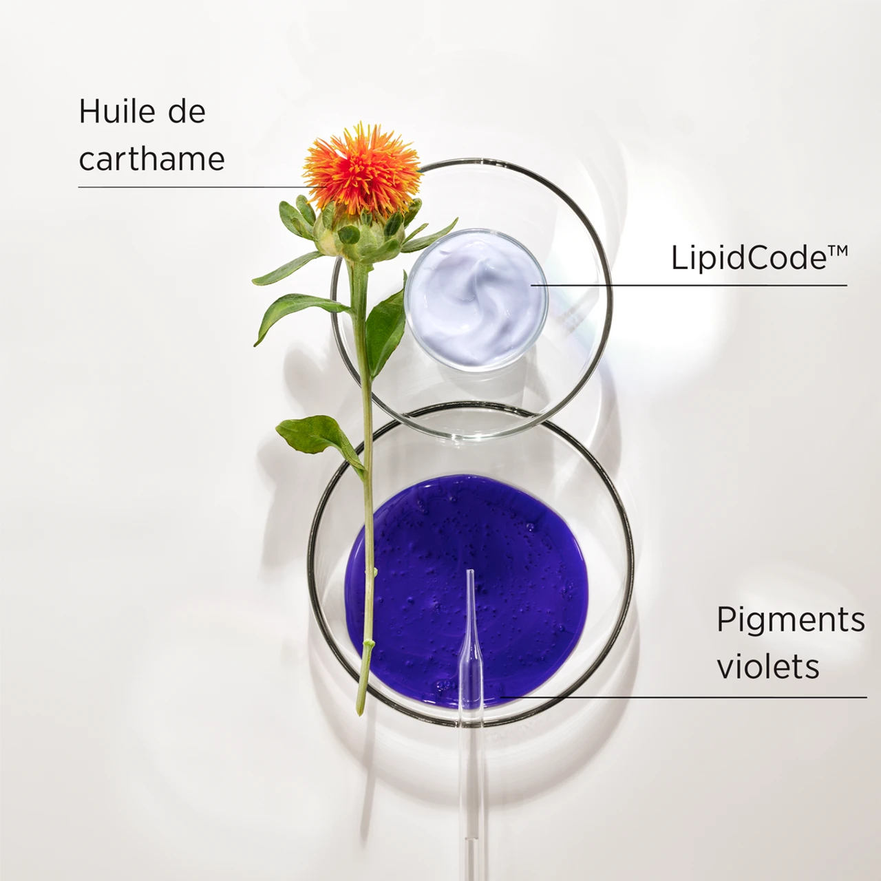 Masque LuxeBlond System Professional 200ml 2 Masque LuxeBlond System Professional 200ml – Image 2