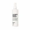 Spray Salin Texturisant Authentic Beauty Concept 250ml