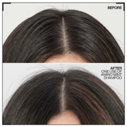Shampoing Amino-Mint Redken 300ml -Coiffure Promos Boutique amino.1 56956.1694765720