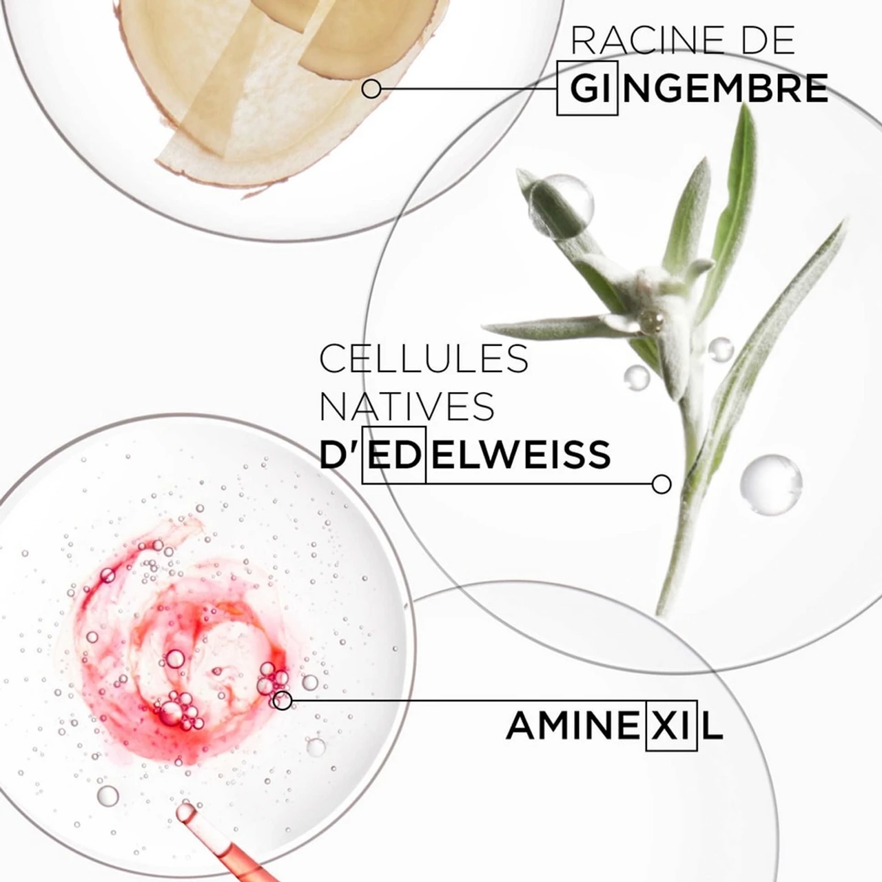 Fondant Renforçateur Genesis Kérastase 200ml 4 Fondant Renforçateur Genesis Kérastase 200ml – Image 4