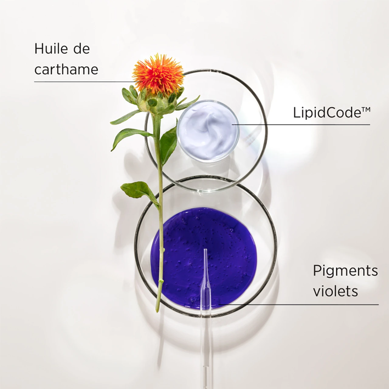 Shampooing LuxeBlond System Professional 250ml 2 Shampooing LuxeBlond System Professional 250ml – Image 2