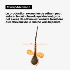 Argile 2-en-1 Purifiante Anti Gras Scalp Advanced L'Oréal 500ml -Coiffure Promos Boutique scalp advanced anti gras se bum 94024.1684847776