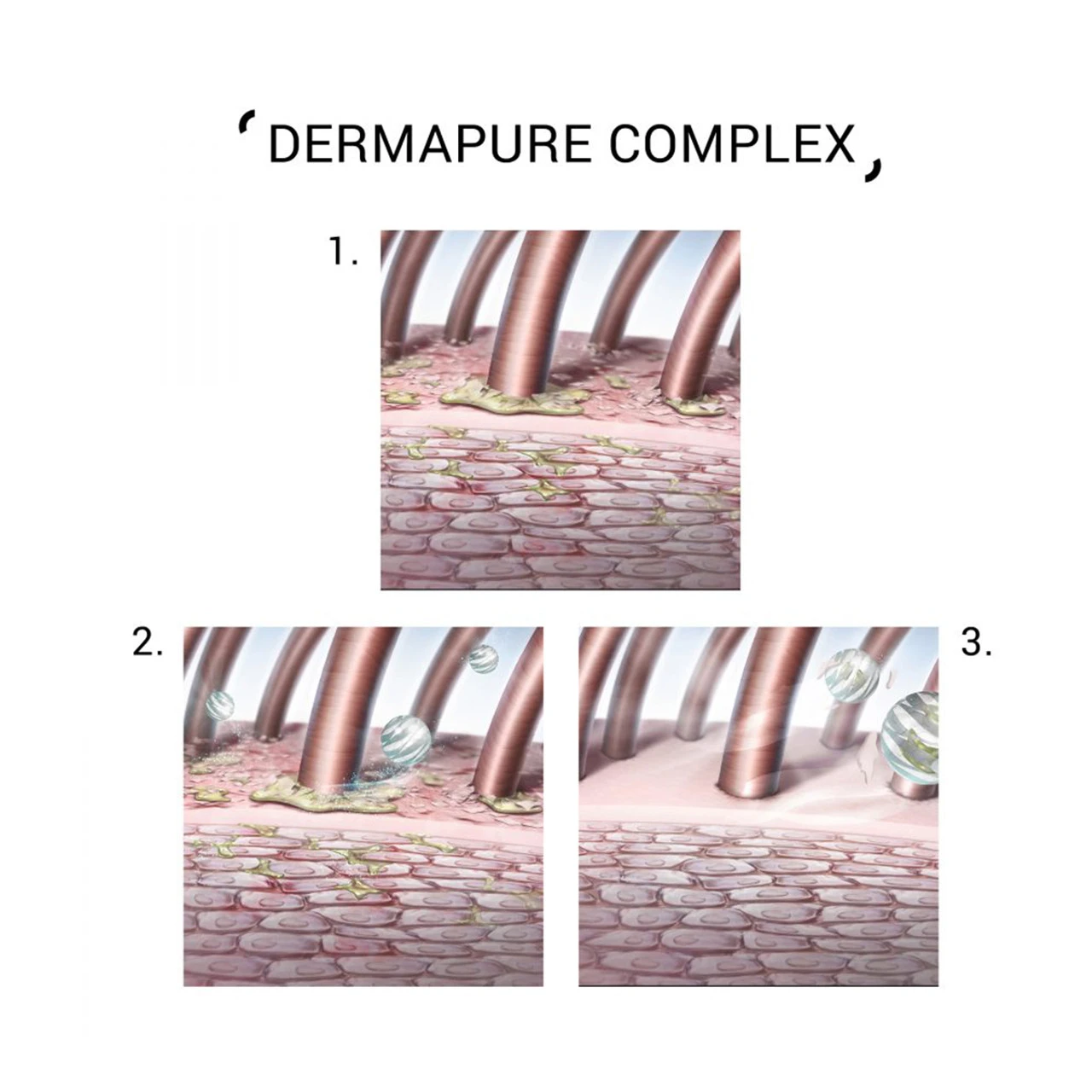 Purify Shampoo 250ml System Professional 3 Purify Shampoo 250ml System Professional – Image 3